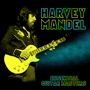 Essential Guitar Masters cover