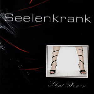 Silent Pleasures cover