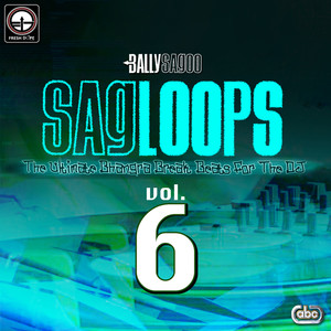 Sagloops Volume 6 - The Ultimate Bhangra Break Beats For The DJ album