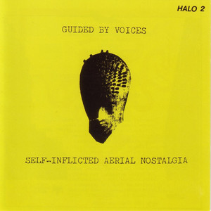 Self-Inflicted Aerial Nostalgia album