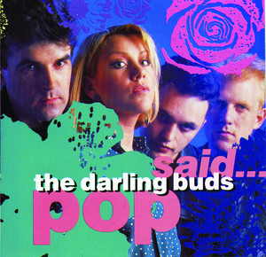 Pop Said... album