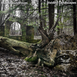 Voided Landscapes cover