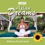 Asian Dreams - Entspannungsmusik für Tai Chi, Joga, Qi Gong und Meditation (GEMA-frei) Albumcover