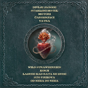 Divlje jagode cover