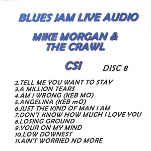 Mike Morgan & The Crawl poster