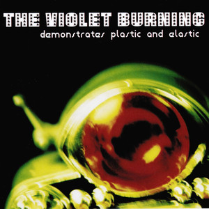 Demonstrates Plastic and Elastic album