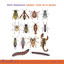 Music for Hi-Fi Bugs Albumcover