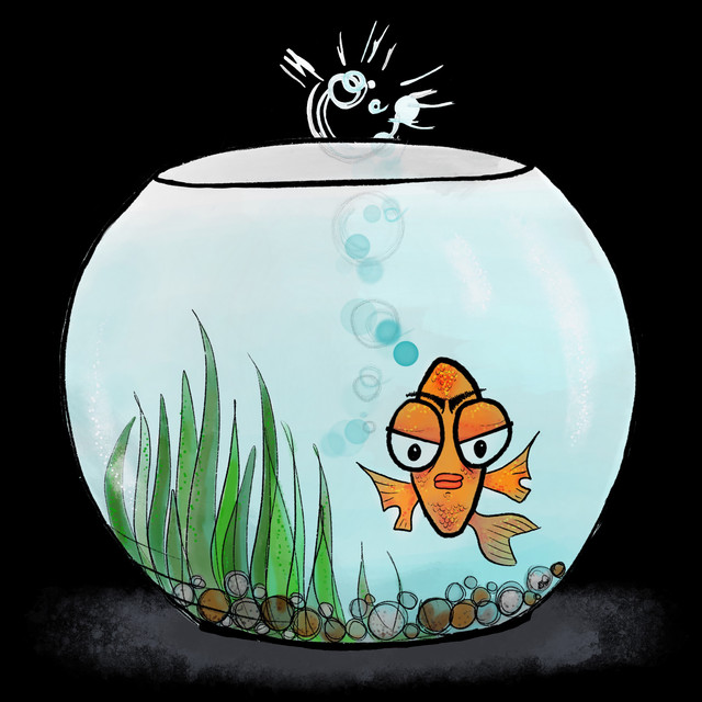 Fish Bowl cover