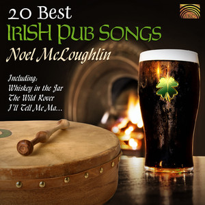 20 Best Irish Pub Songs cover