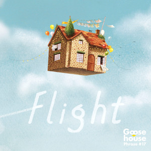 Flight cover