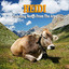 Yodelling Songs Albumcover