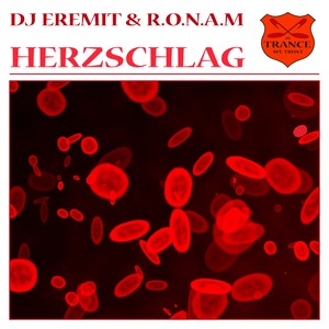 DJ Eremit and R.O.N.A.M