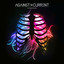 In Our Bones cover