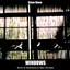 Windows cover