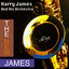 The New James cover