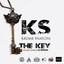 The Key cover