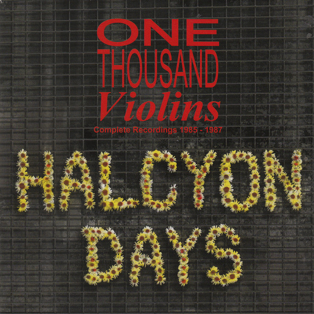 One Thousand Violins Photo