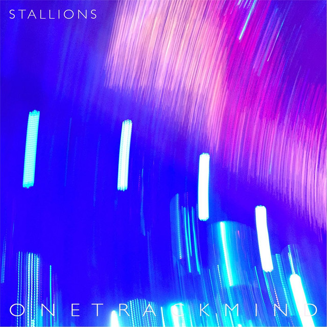 Stallions Photo