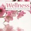 Wellness - Musik zum Wohlfühlen Albumcover