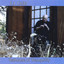 Teahouse of Tranquility Albumcover