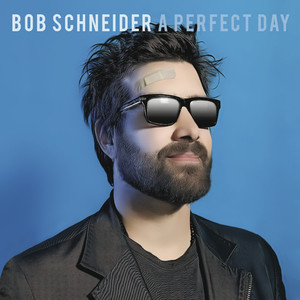 A Perfect Day cover