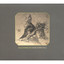Herzsprung cover