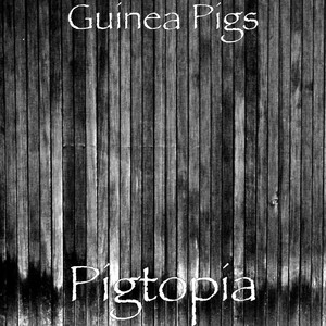 Guinea Pigs