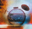 Controra cover