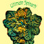 Ultimate Spinach cover