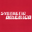 Synthetic America Albumcover