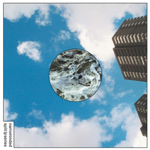Narrominded Split LP Series #4 cover