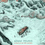 Miracle in the Andes cover