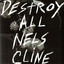 Destroy All Nels Cline cover