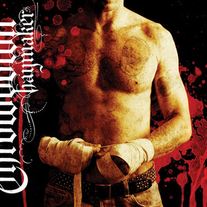 Haymaker cover