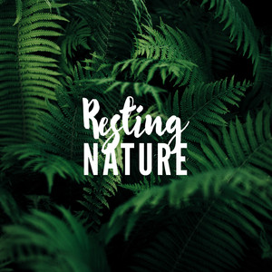 Resting Nature album