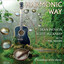 Harmonic Way Albumcover