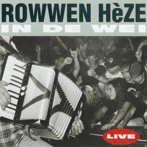 In de wei cover