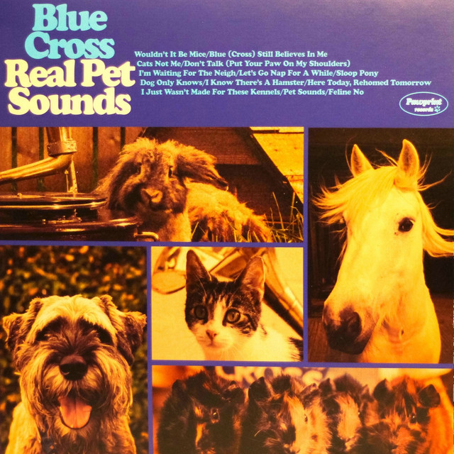 Blue Cross Photo