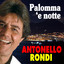 Antonello Rondi . Palomma 'e notte Albumcover