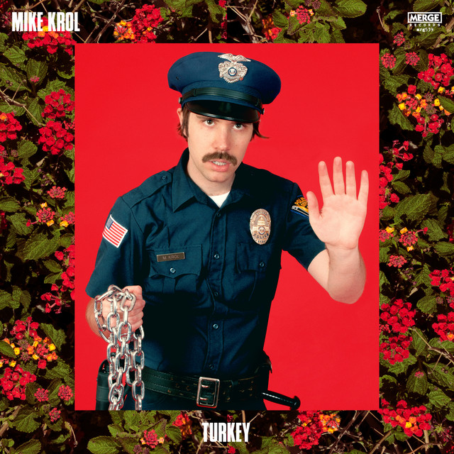 Turkey cover