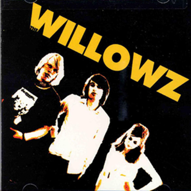 The Willowz cover