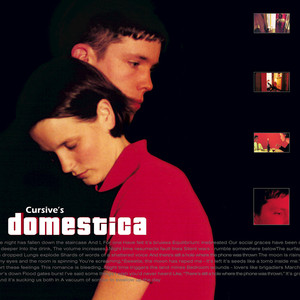 Domestica cover