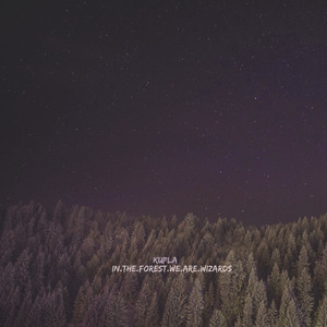 in.the.forest.we.are.wizards cover