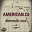 Domestic Soul EP Albumcover