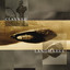 Landmarks cover