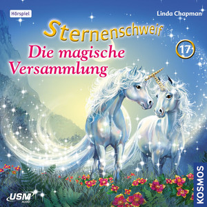 Teil 17: Die magische Versammlung Audiobook
