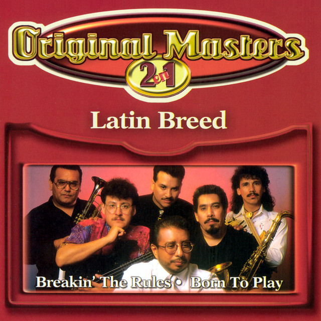 Latin Breed Photo