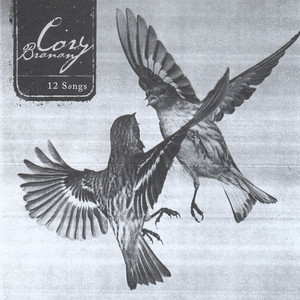 12 Songs album