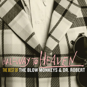 Halfway to Heaven: The Best of The Blow Monkeys & Dr Robert cover