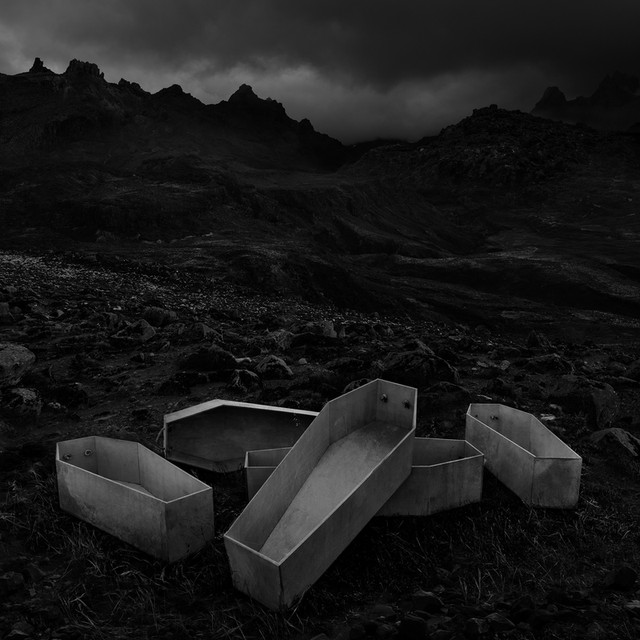 Musik Album 'Long Live'